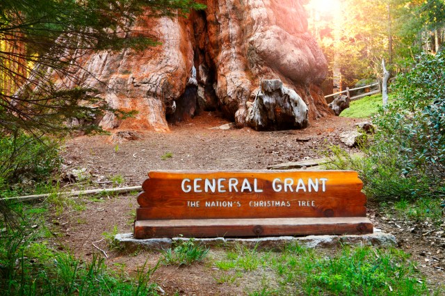 General Grant giant sequoia in the Kings Canyon National Park